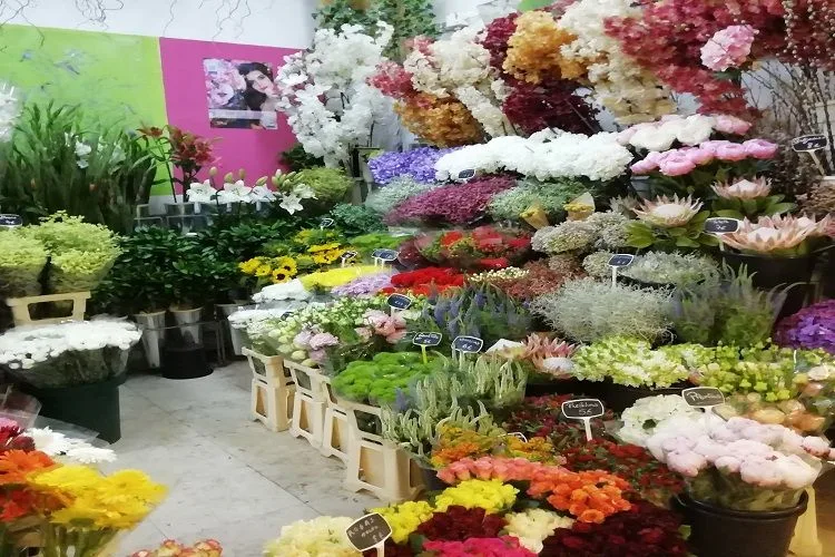 Oh Julia Florista, tua linda história…